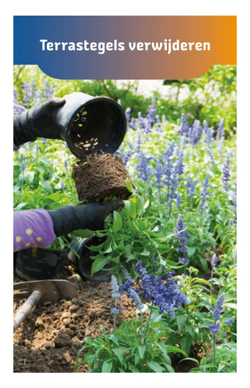 kaartjes waterschap pagina 019