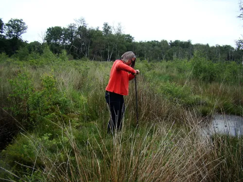 lezing anja verbers pingoruc3afnes