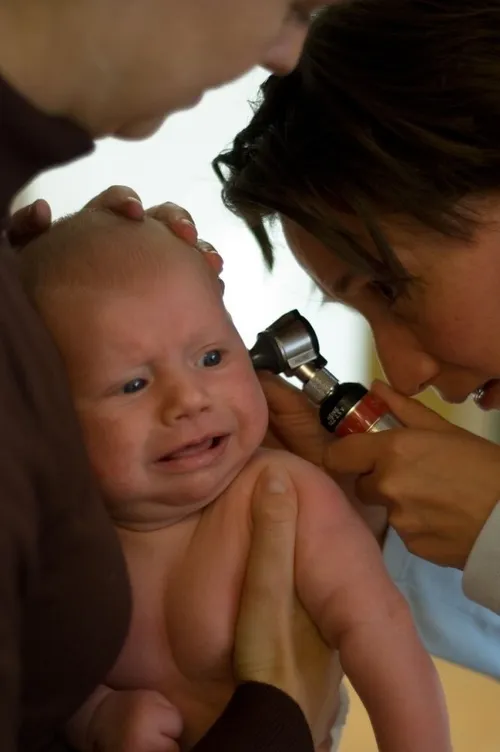 maessive foter cc by nd