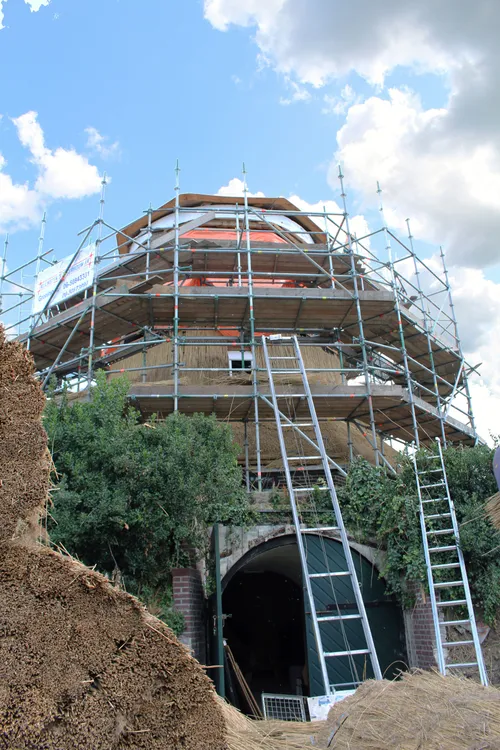 meule van wassens eind juli 2019 foto ben veerbeek
