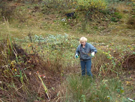 natuurwerkdag 2015 nr 2