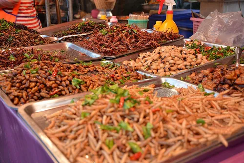 paularps foter cc by