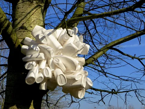 plastic flessen carolien