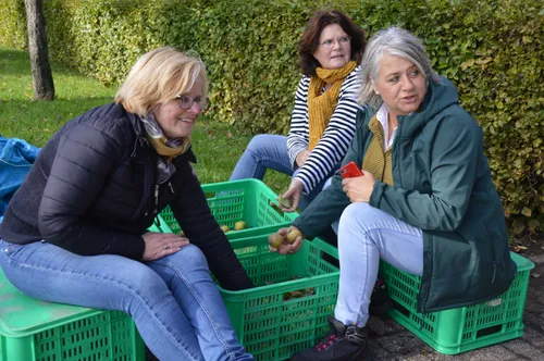 pn05102019 perenpluk lions12