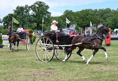 pn06062022 dewijk pinksterconcours4