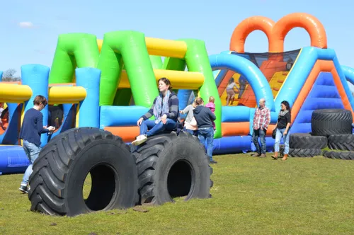 pn28032017 speelboerderij drentse koe