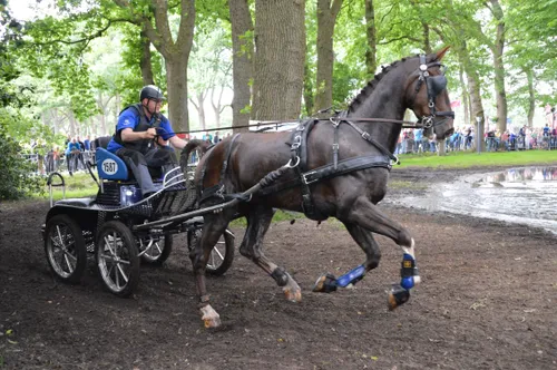 pn29052016 menmarathon3