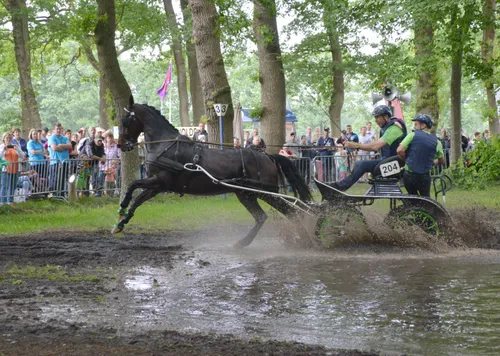 pn29052016 menmarathon4