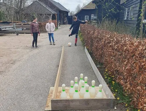 ruinerwold drentse koe wandeling2