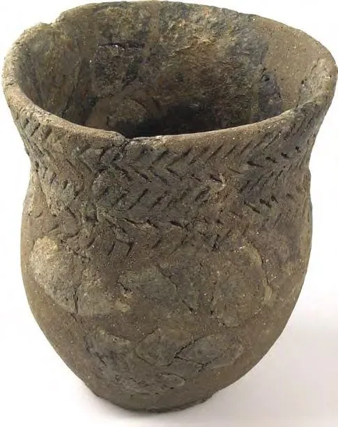 schokland grafgift beker bron provinciaal depot