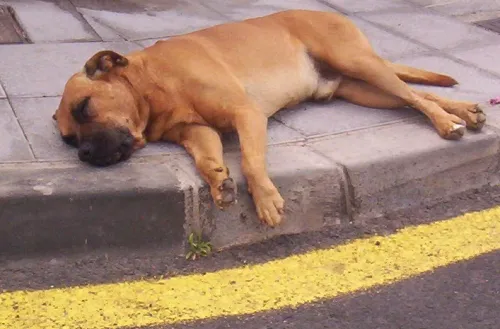 secret tenerife foter cc by