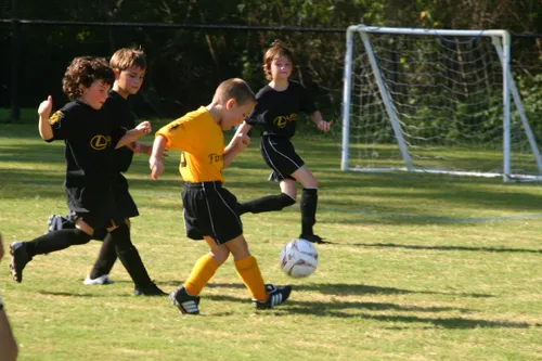 susieq3c foter cc by