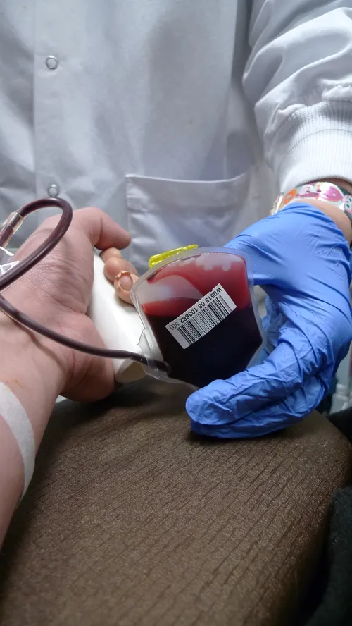 thirteen of clubs foter cc by sa