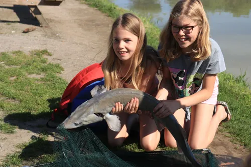 visproject dissel ruinerwold5 foto jeroen wouter van der vlist