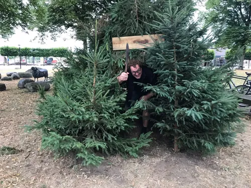 wilde wietse ruinen 2