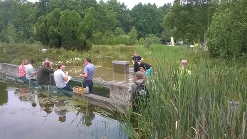 wp 20160601 12 59 57 pro 1