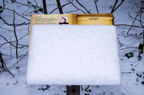 zuidwolde winter bord gedicht loampie