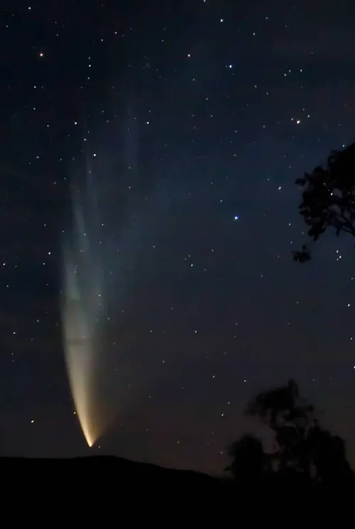 komeet mcnaught klein