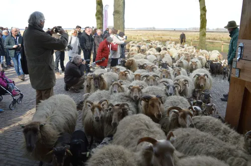 mrt pn29032018 opening schaapskooi ruinen7