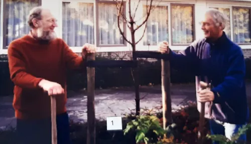 De Wijk Wijker Kunst bomen1