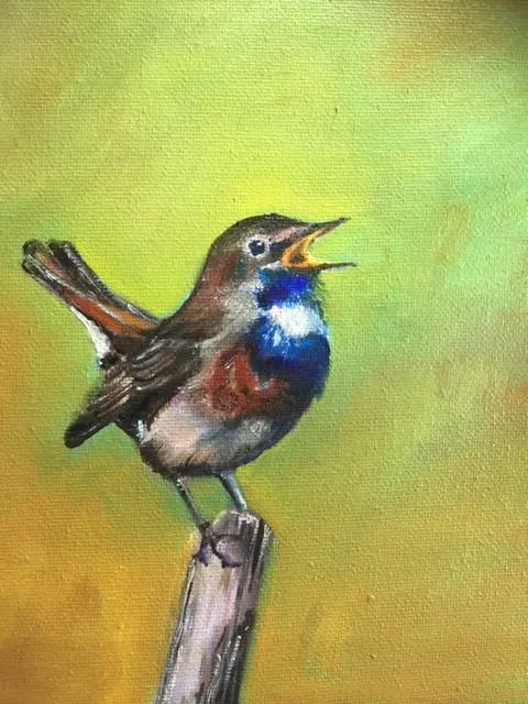 Diever Kunstwandeling Elly Borm 2025 vogel blauwvink