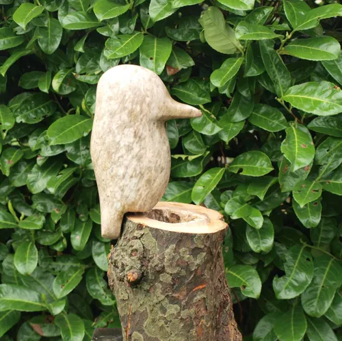 Diever kusntwandeling Jaap Mones 2025 ijsvogel