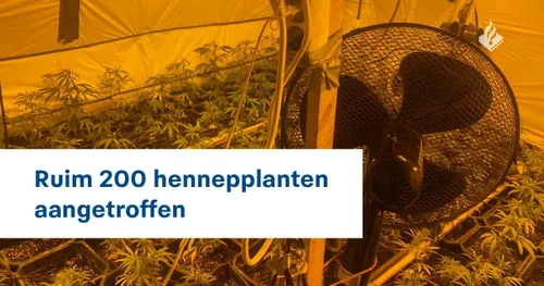 141033706 3847151035324149 3630603416466225175 o