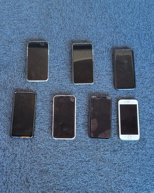 274750951 327254539441603 5419532578158440830 n