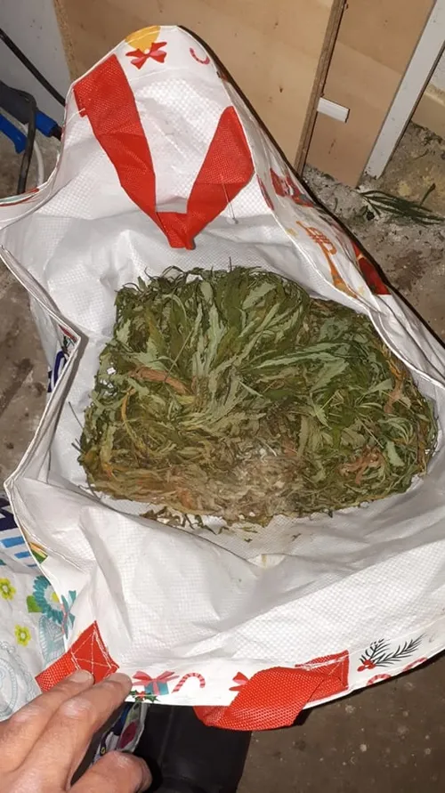 65071086 2399949053377695 6569601470818156544 n