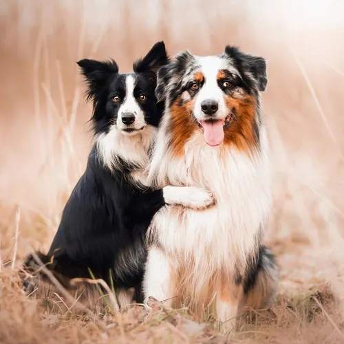 74286083 139850920730001 6471961376528007168 o