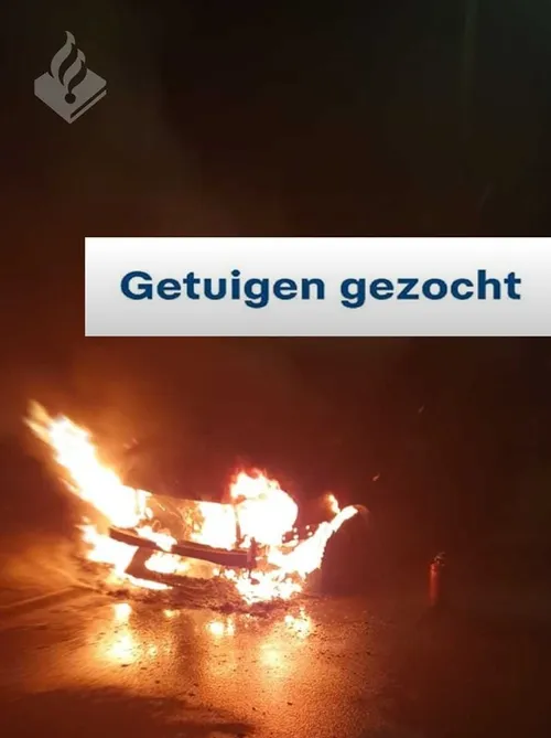 93721517 3028059733899954 2641391963483406336 o