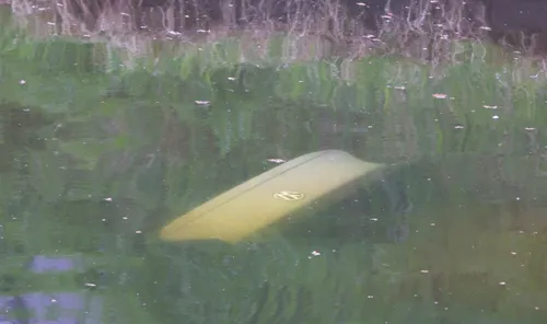 auto te water den bosch 4