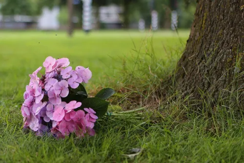bloemen op plek ongeval 2