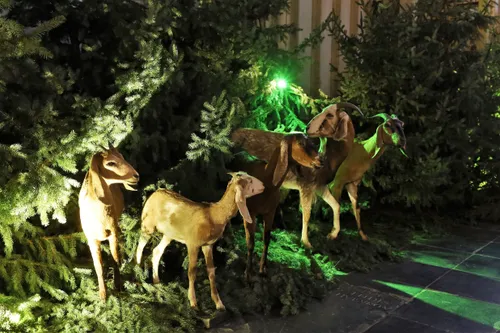 db 5 dec kerststal 113