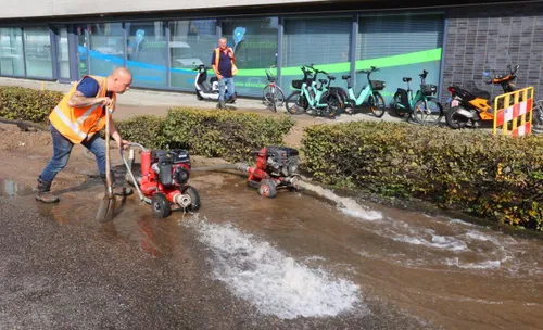 groot waterlek vogelstraat den bosch2