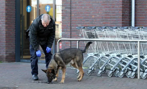 handgranaat kerkdriel 5