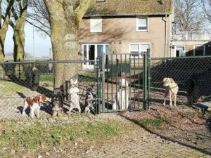 heusden nieuws 4 1 300x225