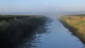 img 2048 medium 300x169