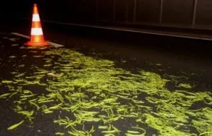 sperziebonen op weg a65 vught 1 300x192