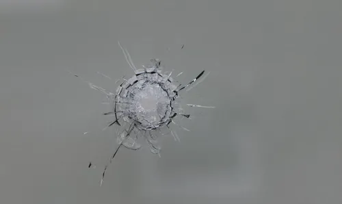 woning waardenburg beschoten 1