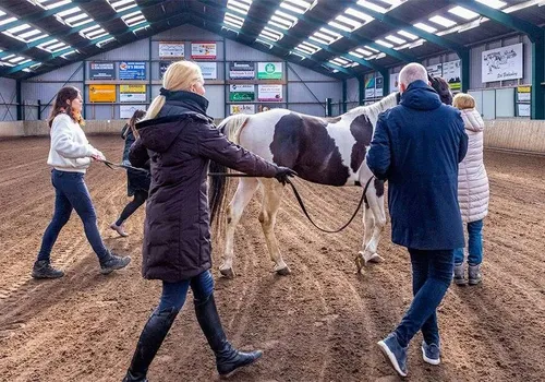 foto-advertorial-2-66a338e80239c