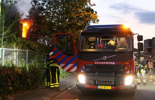 brandj2