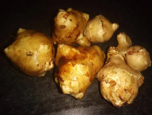 Witte aardpeer