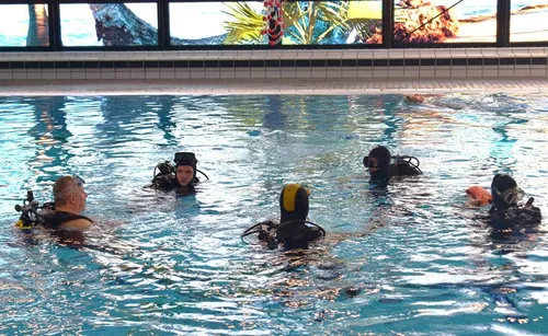 duikles in het zwembad in De Reeshof