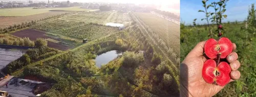 Voedselbos Klein Dongen&nbsp; &nbsp; &nbsp; &nbsp; &nbsp; &nbsp; &nbsp; &nbsp; &nbsp; &nbsp; &nbsp; &nbsp; &nbsp; &nbsp; &nbsp; &nbsp; &nbsp; &nbsp; &nbsp; &nbsp; &nbsp; &nbsp; &nbsp; &nbsp; &nbsp; &nbsp; &nbsp; &nbsp; &nbsp; &nbsp; &nbsp; &nbsp; &nbsp; &nbsp; &nbsp;Maak kennis met de bijzondere beplanting