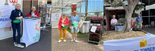 zonnebloemcompilatie