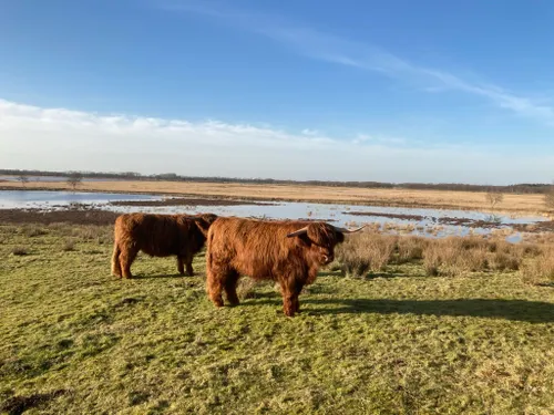 1 scharreveld gerkhadders