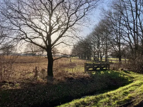 2 scharreveld gerkhadders