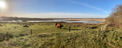 scharreveld gerkhadders