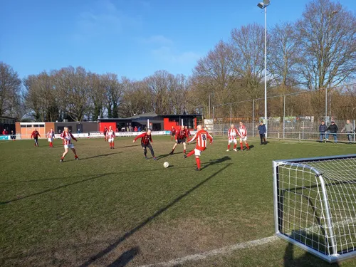 zuidwolde walking zuidwolde1 scaled